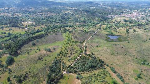 Terreno Rústico  Venda em Aldeia do Bispo, Águas e Aldeia de João Pires,Penamacor