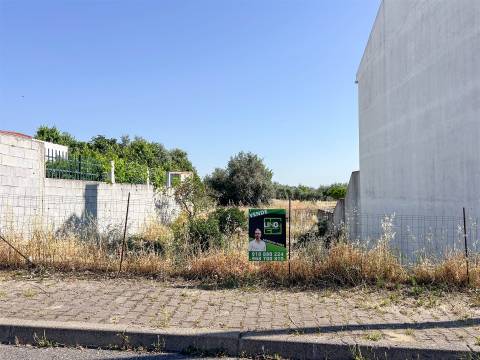 Lote de Terreno  Venda em Castelo Branco,Castelo Branco
