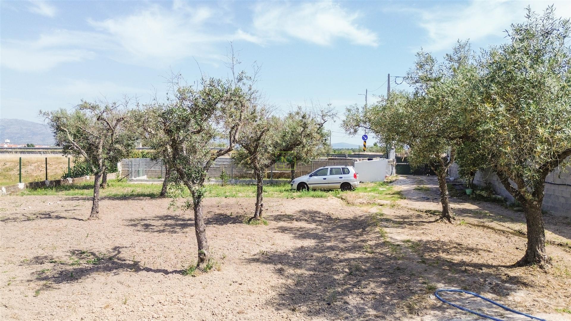 Quinta na Lardosa com Água Própria e Excelente Localização