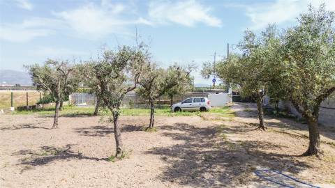 Quinta na Lardosa com Água Própria e Excelente Localização