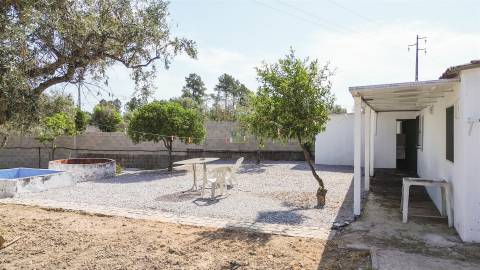 Quinta na Lardosa com Água Própria e Excelente Localização