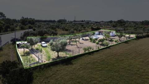 Quinta na Lardosa com Água Própria e Excelente Localização