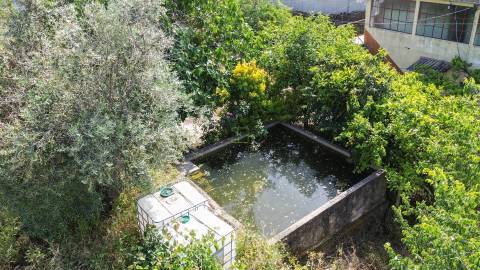 Quinta T3 Venda em Castelo Branco,Castelo Branco