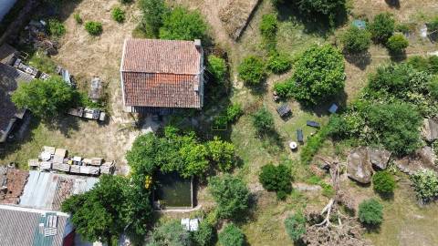 Quinta T3 Venda em Castelo Branco,Castelo Branco