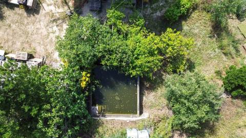 Quinta T3 Venda em Castelo Branco,Castelo Branco