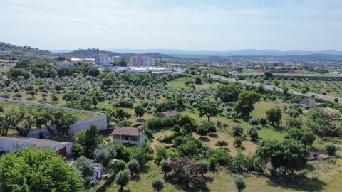 Quinta T3 Venda em Castelo Branco,Castelo Branco