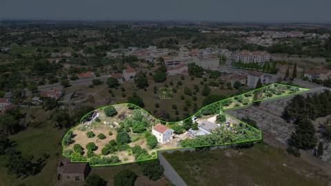 Quinta T3 Venda em Castelo Branco,Castelo Branco