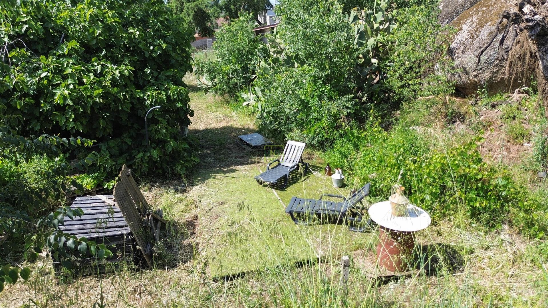 Quinta T3 Venda em Castelo Branco,Castelo Branco