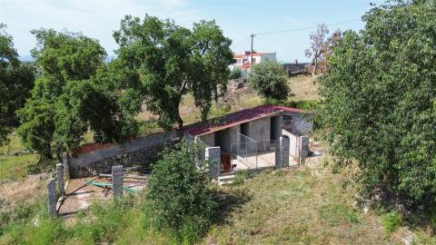 Quinta T3 Venda em Castelo Branco,Castelo Branco