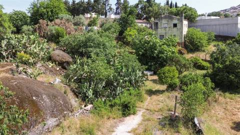 Quinta T3 Venda em Castelo Branco,Castelo Branco