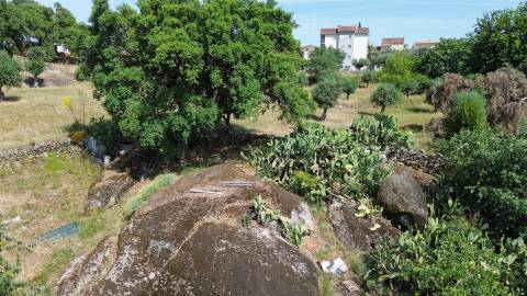 Quinta T3 Venda em Castelo Branco,Castelo Branco