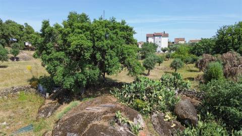 Quinta T3 Venda em Castelo Branco,Castelo Branco