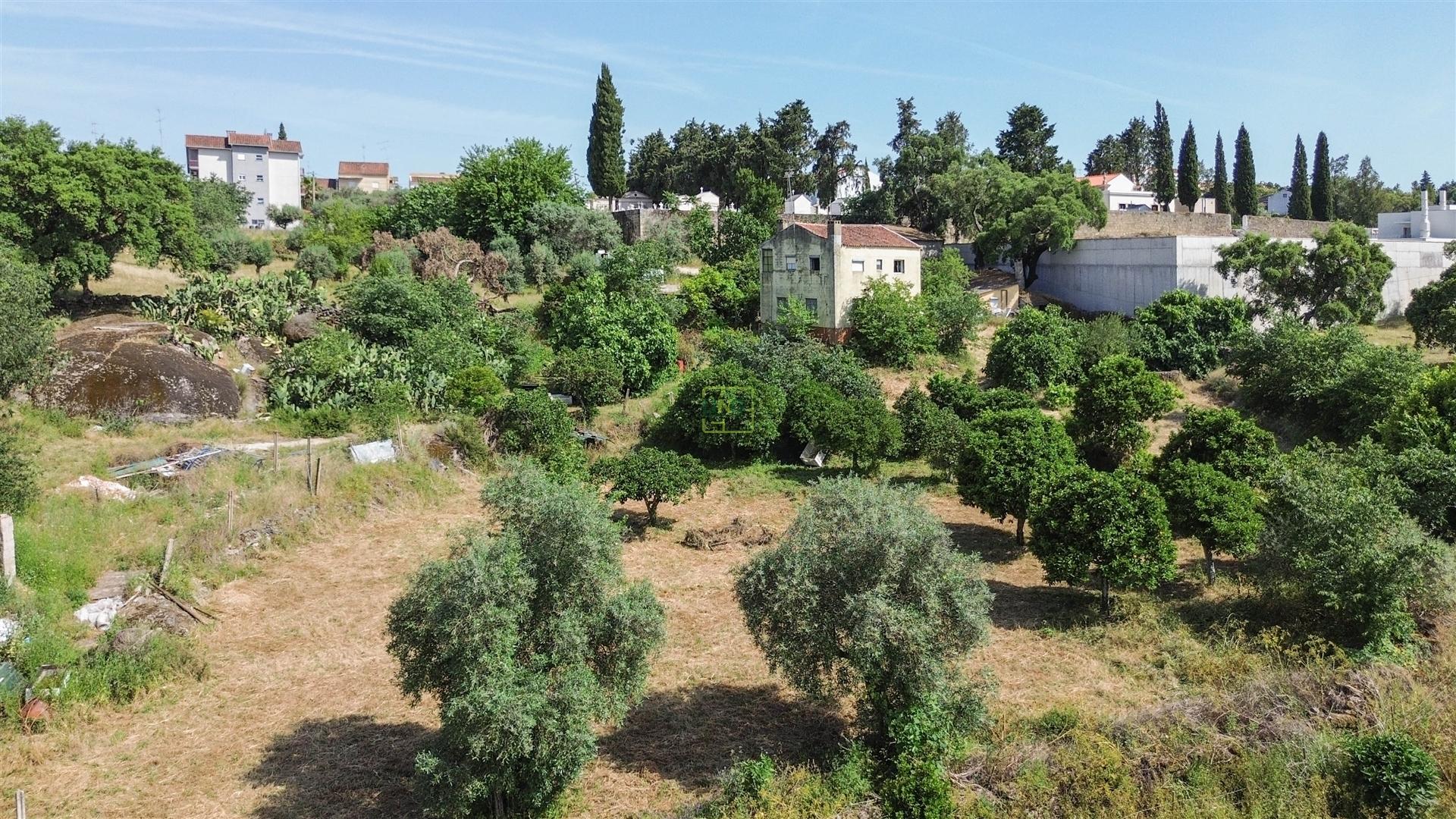 Quinta T3 Venda em Castelo Branco,Castelo Branco