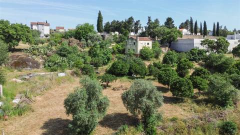 Quinta T3 Venda em Castelo Branco,Castelo Branco