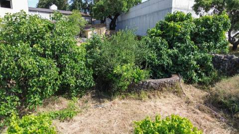 Quinta T3 Venda em Castelo Branco,Castelo Branco