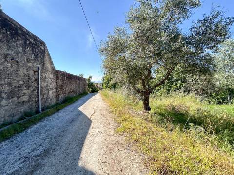 Quinta T3 Venda em Castelo Branco,Castelo Branco