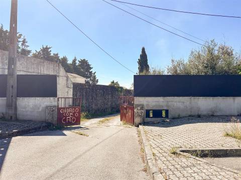 Quinta T3 Venda em Castelo Branco,Castelo Branco