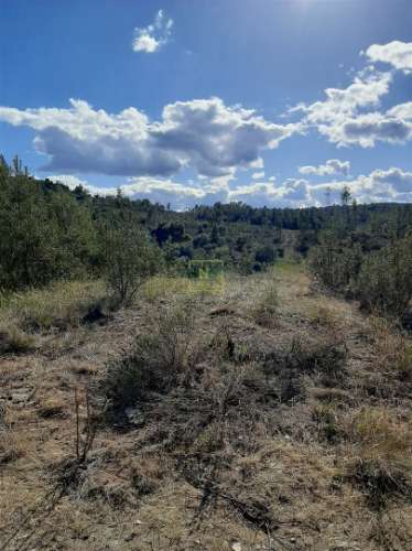 Terreno  Venda em Sarzedas,Castelo Branco