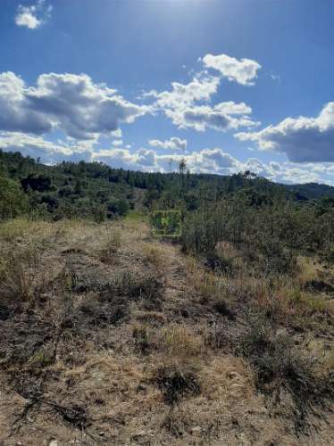 Terreno  Venda em Sarzedas,Castelo Branco