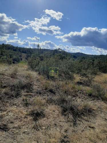 Terreno  Venda em Sarzedas,Castelo Branco