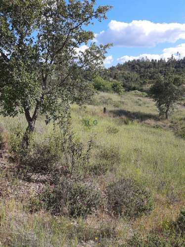Terreno  Venda em Sarzedas,Castelo Branco