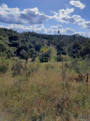 Terreno  Venda em Sarzedas,Castelo Branco