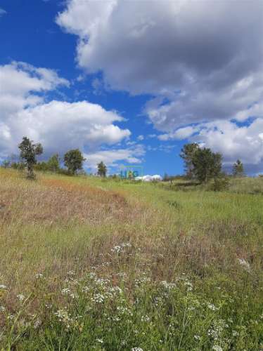 Terreno  Venda em Sarzedas,Castelo Branco