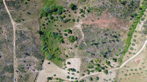 Terreno  Venda em Sarzedas,Castelo Branco