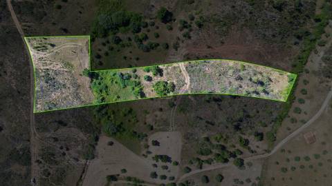 Terreno  Venda em Sarzedas,Castelo Branco