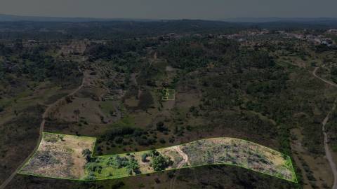 Terreno  Venda em Sarzedas,Castelo Branco