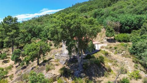 Quinta com 4 hectares, duas habitações licenciadas e elevado potencial turístico – Serra da Gardunha