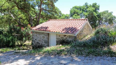 Quinta com 4 hectares, duas habitações licenciadas e elevado potencial turístico – Serra da Gardunha