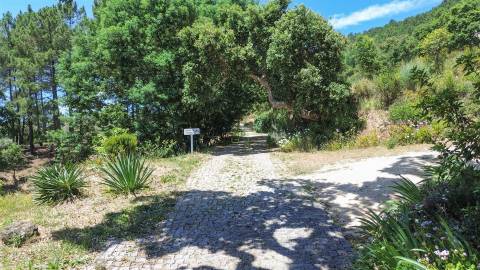 Quinta com 4 hectares, duas habitações licenciadas e elevado potencial turístico – Serra da Gardunha