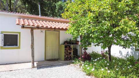 Quinta com 4 hectares, duas habitações licenciadas e elevado potencial turístico – Serra da Gardunha