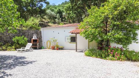 Quinta com 4 hectares, duas habitações licenciadas e elevado potencial turístico – Serra da Gardunha