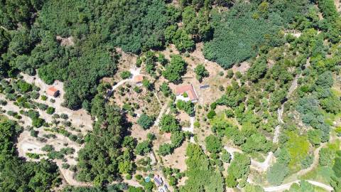Quinta com 4 hectares, duas habitações licenciadas e elevado potencial turístico – Serra da Gardunha