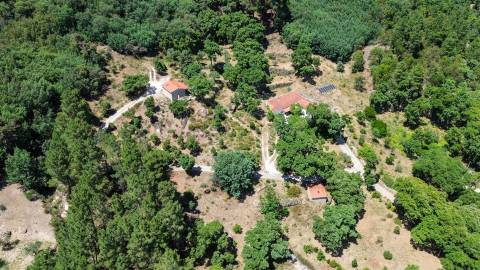 Quinta com 4 hectares, duas habitações licenciadas e elevado potencial turístico – Serra da Gardunha