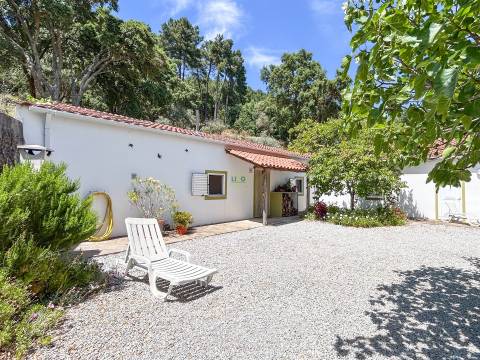 Quinta com 4 hectares, duas habitações licenciadas e elevado potencial turístico – Serra da Gardunha