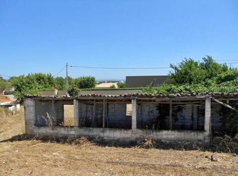 Terreno Rústico  Venda em Pechão,Olhão