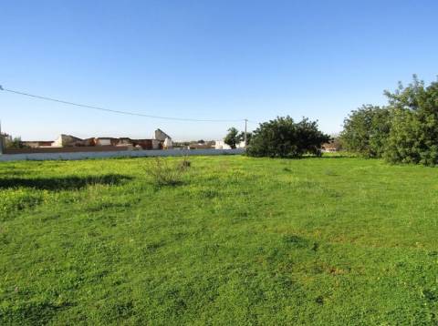 Terreno Rústico  Venda em Pechão,Olhão
