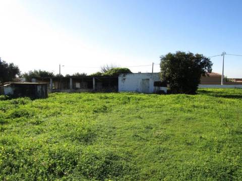 Terreno Rústico  Venda em Pechão,Olhão