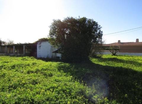 Terreno Rústico  Venda em Pechão,Olhão