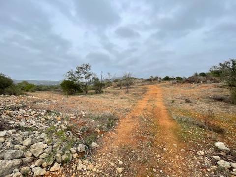Terreno Rústico  Venda em Conceição e Estoi,Faro
