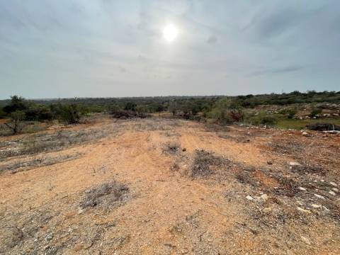 Terreno Rústico  Venda em Conceição e Estoi,Faro