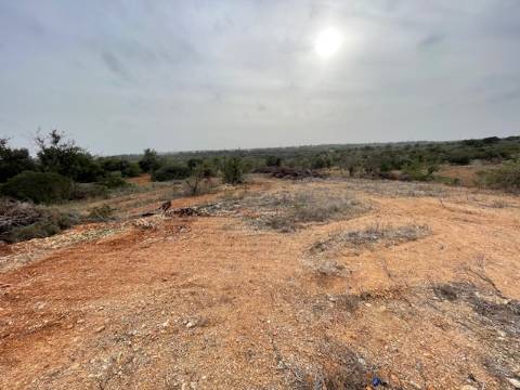 Terreno Rústico  Venda em Conceição e Estoi,Faro
