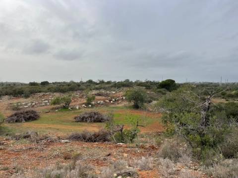 Terreno Rústico  Venda em Conceição e Estoi,Faro