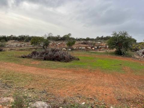 Terreno Rústico  Venda em Conceição e Estoi,Faro