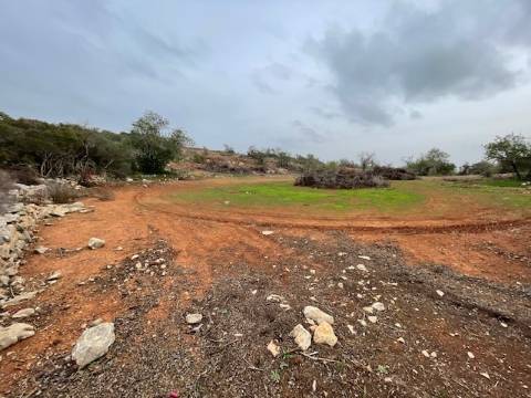 Terreno Rústico  Venda em Conceição e Estoi,Faro