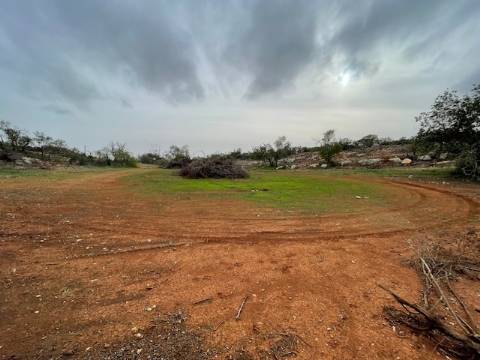 Terreno Rústico  Venda em Conceição e Estoi,Faro