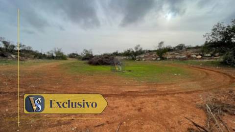Terreno Rústico  Venda em Conceição e Estoi,Faro